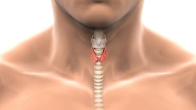 Tisková zpráva o týdnu štítné žlázy